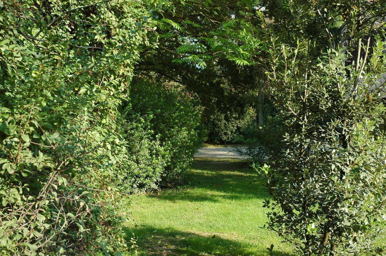 B&B Villa Dei Calchi - Suite Room Di Charme San Felice sul Panaro Екстериор снимка